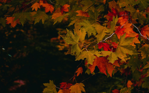 1421056 (a): :2560x1600